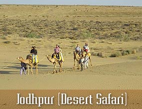 Jodhpur desert Safari