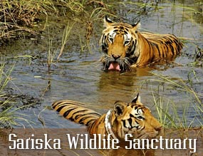 Sariska Wildlife Sanctuary